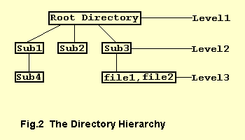 Directory Structure
